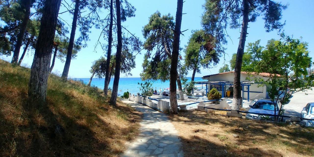 Sea Star Apartments Kallikratia Nea Kallikrateia Dış mekan fotoğraf